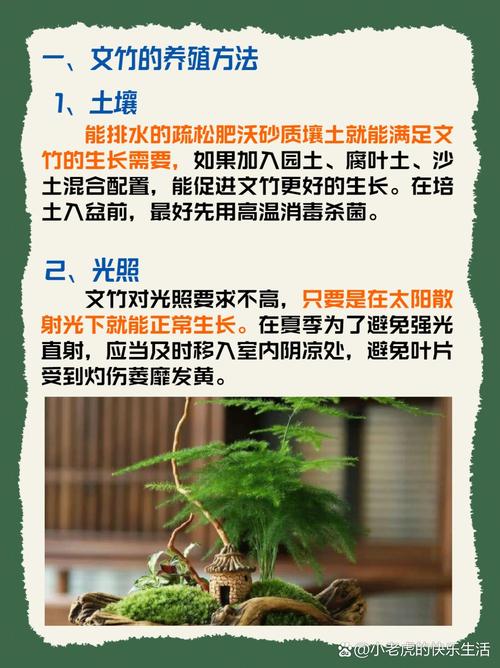 文竹的简易扦插繁殖方法？文竹怎么扦插条？-第5张图片-优品飞百科