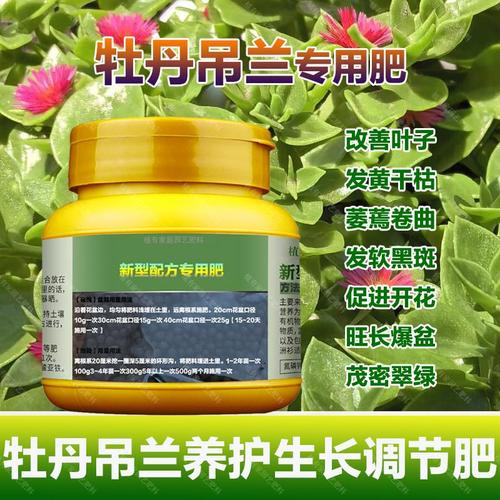 牡丹吊兰施什么肥,牡丹吊兰施什么肥料长得好看-第3张图片-优品飞百科 牡丹吊兰施什么肥,牡丹吊兰施什么肥料长得好看-第3张图片-优品飞百科
