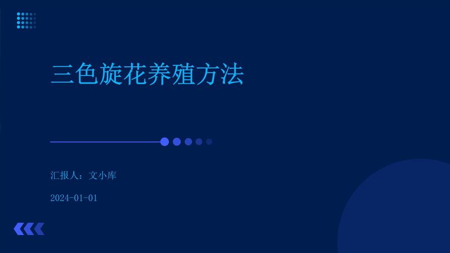 三色旋花种植方法,三色炫花?-第5张图片-优品飞百科 三色旋花种植方法,三色炫花?-第5张图片-优品飞百科