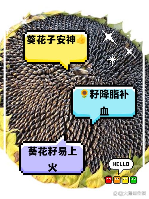 向日葵种子种植哪头朝下？向日葵种子种植是大头朝上还是小头朝上？-第5张图片-优品飞百科