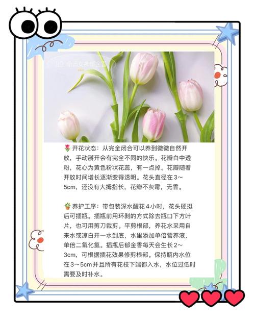 郁金香的种植时间和方法?郁金香种植时间与方法?-第1张图片-优品飞百科 郁金香的种植时间和方法?郁金香种植时间与方法?-第1张图片-优品飞百科