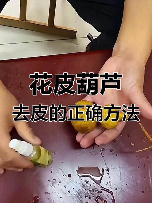 刚摘的葫芦怎样去皮，刚摘的葫芦怎么处理皮视频