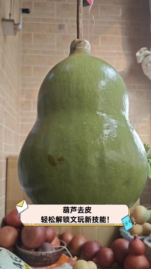 刚摘的葫芦怎样去皮,刚摘的葫芦怎么处理皮视频-第6张图片-优品飞百科 刚摘的葫芦怎样去皮,刚摘的葫芦怎么处理皮视频-第6张图片-优品飞百科
