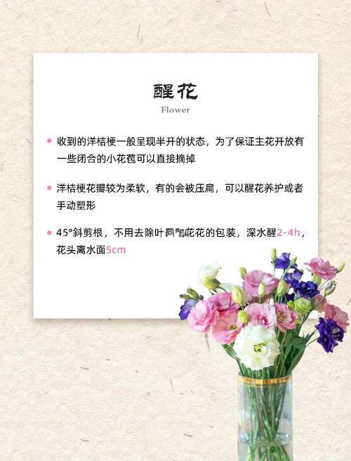 洋桔梗的养殖方法和注意事项？洋桔梗种子的种植方法和时间？