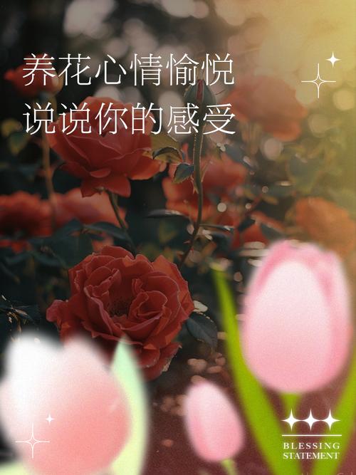 黑夜观音莲如何养,黒叶观音莲怎么养-第4张图片-优品飞百科 黑夜观音莲如何养,黒叶观音莲怎么养-第4张图片-优品飞百科