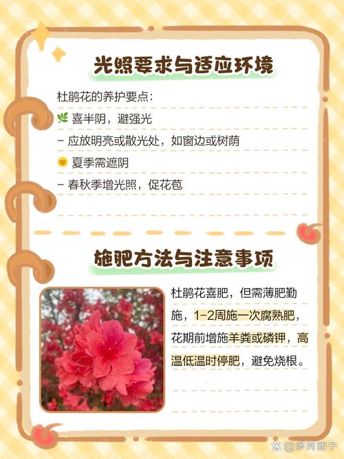 杜鹃花几天浇一次水？杜鹃花可以每天浇水吗？-第4张图片-优品飞百科