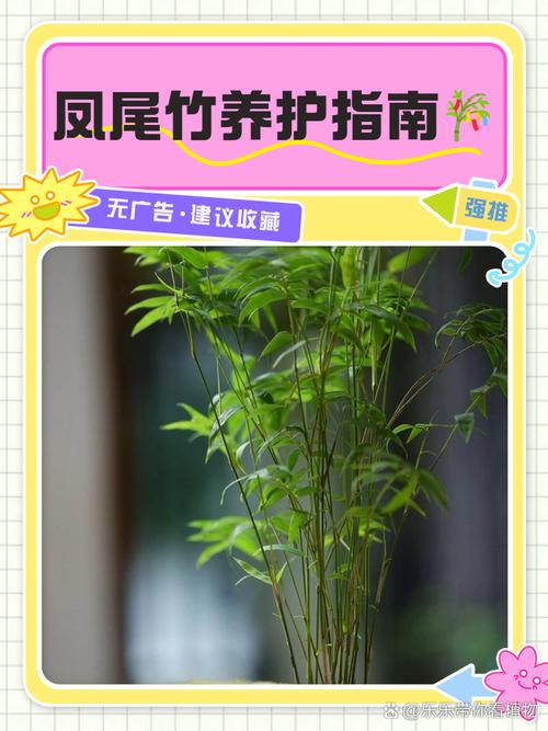 凤尾竹怎么养,尾葵凤尾竹怎么养?-第4张图片-优品飞百科 凤尾竹怎么养,尾葵凤尾竹怎么养?-第4张图片-优品飞百科