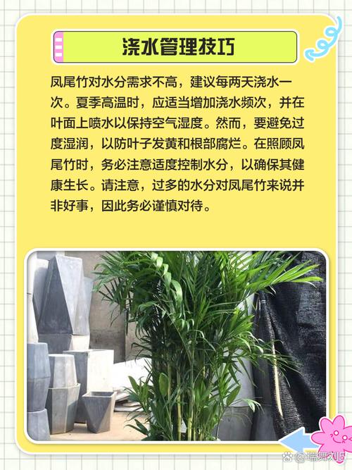 凤尾竹怎么养,尾葵凤尾竹怎么养?-第8张图片-优品飞百科 凤尾竹怎么养,尾葵凤尾竹怎么养?-第8张图片-优品飞百科