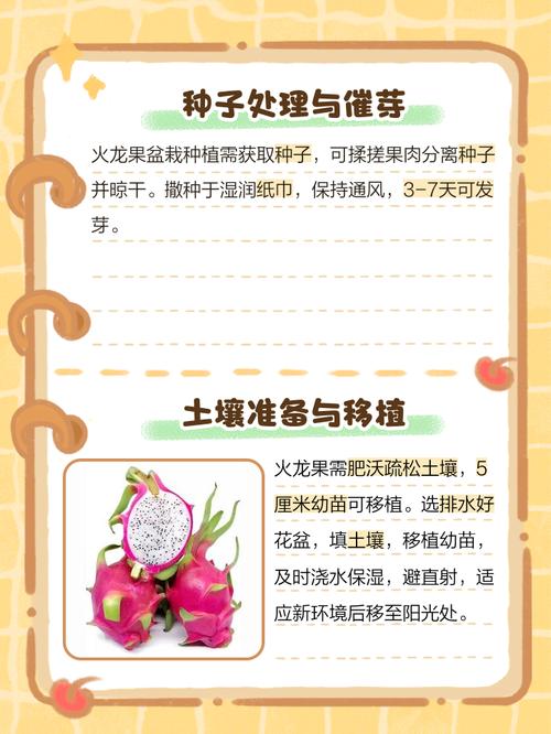 火龙果家庭种植方法，火龙果的家庭种植技术与管理？