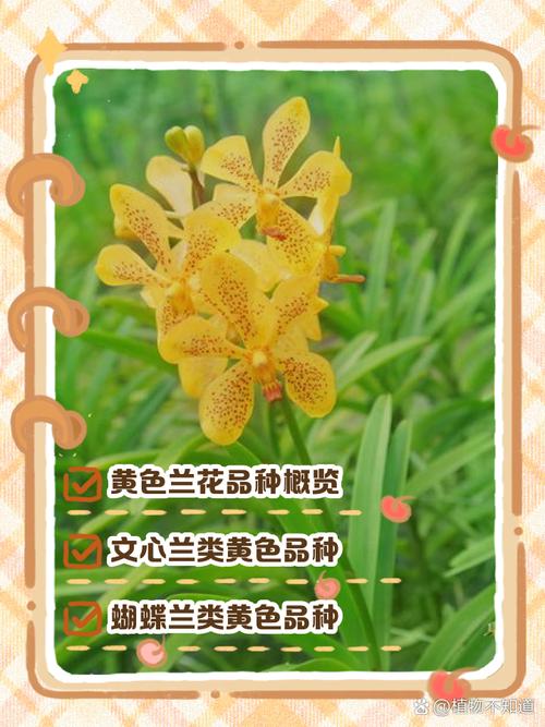 报春花冬天养殖禁忌，报春花冬天怕冷吗？-第7张图片-优品飞百科