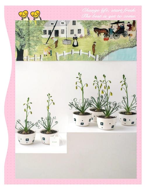 弹簧草一次浇多少水，弹簧草用深盆还是浅盆？-第2张图片-优品飞百科