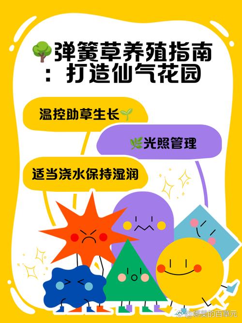 弹簧草一次浇多少水，弹簧草用深盆还是浅盆？-第6张图片-优品飞百科