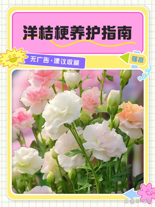 刚买回家的花应该怎么养，刚买回来的鲜花怎样养