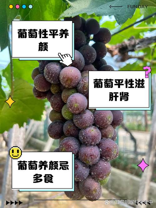 南方葡萄如何不休眠，南方大棚葡萄如何休眠冬眠-第3张图片-优品飞百科