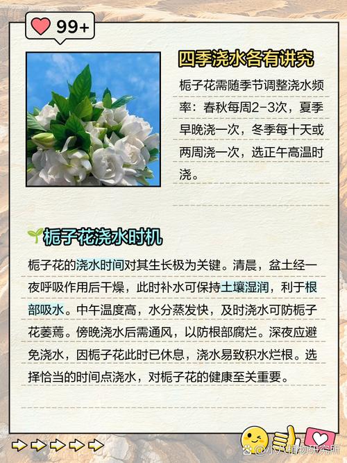 栀子花刚种怎么浇水？栀子花刚种怎么浇水视频？