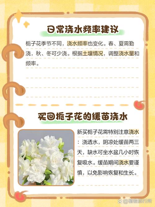 栀子花刚种怎么浇水？栀子花刚种怎么浇水视频？-第2张图片-优品飞百科