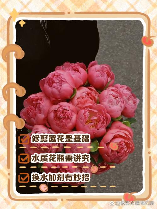 绣球鲜切花怎么养，绣球鲜切花花期有多长？-第3张图片-优品飞百科