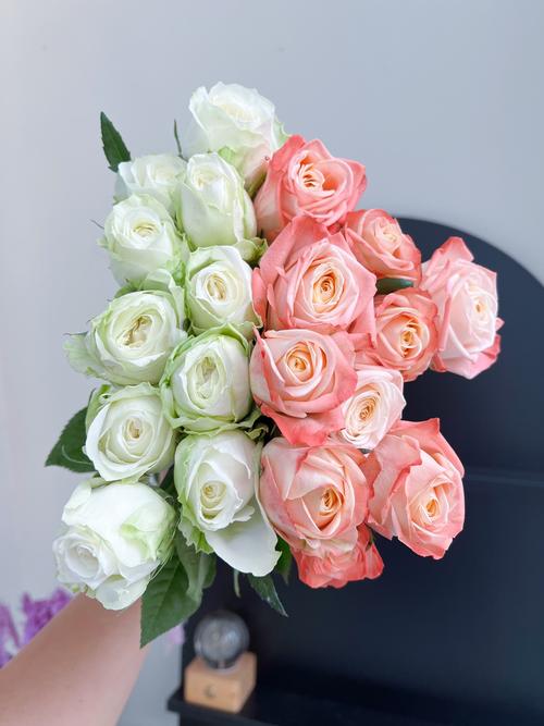 绣球鲜切花怎么养，绣球鲜切花花期有多长？-第4张图片-优品飞百科