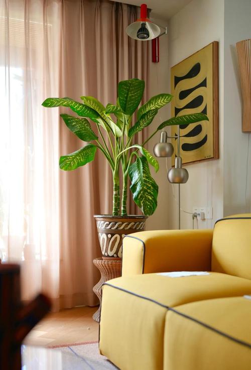 万年青的繁殖方法？万年青的繁殖方法是什么?？-第3张图片-优品飞百科