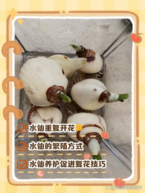 海仙花怎么繁殖，海仙花怎么繁殖方法-第1张图片-优品飞百科