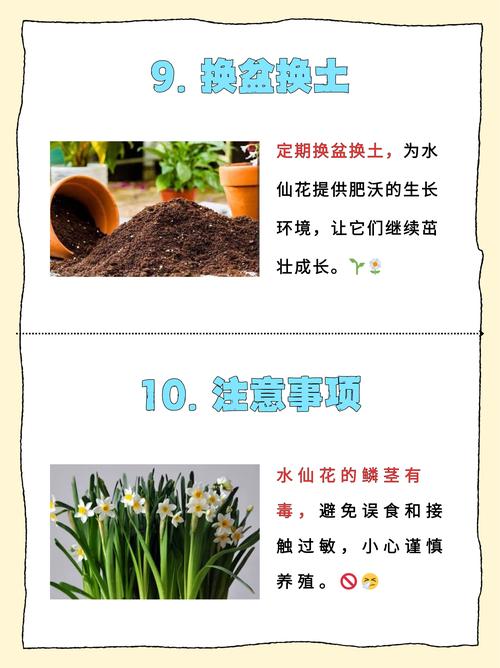 海仙花怎么繁殖，海仙花怎么繁殖方法-第2张图片-优品飞百科