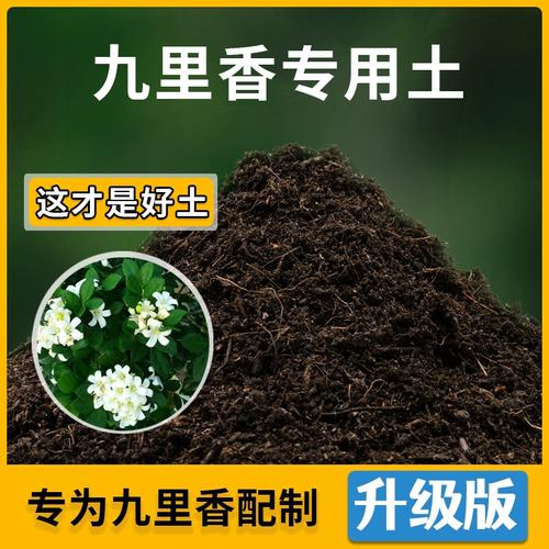 九里香适合什么土壤,九里香花卉用什么土种植-第3张图片-优品飞百科 九里香适合什么土壤,九里香花卉用什么土种植-第3张图片-优品飞百科
