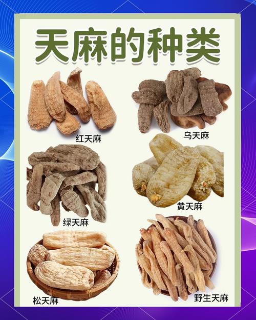 天麻的种植方法?天麻的种植方法与时间?-第7张图片-优品飞百科 天麻的种植方法?天麻的种植方法与时间?-第7张图片-优品飞百科