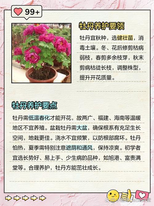 牡丹花怎么养，牡丹花怎么养护和施肥-第6张图片-优品飞百科