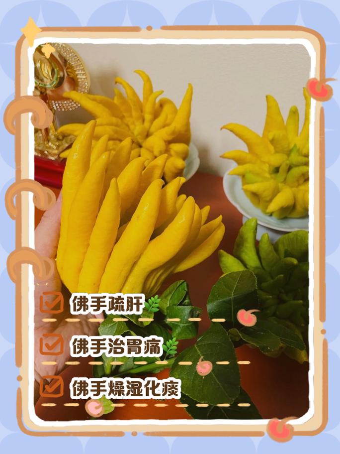 佛手掌的养殖方法,佛手掌花的养殖方法-第5张图片-优品飞百科 佛手掌的养殖方法,佛手掌花的养殖方法-第5张图片-优品飞百科