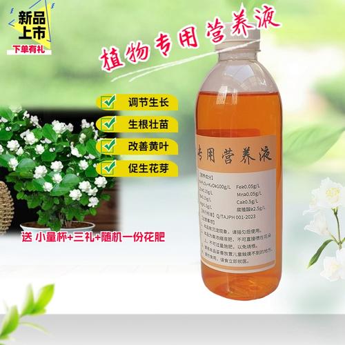 虎头茉莉怎么施肥，虎头茉莉怎么浇水？