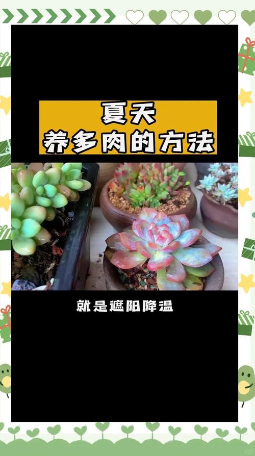 丝苇属植物怎么养殖，丝苇的养殖方法-第7张图片-优品飞百科