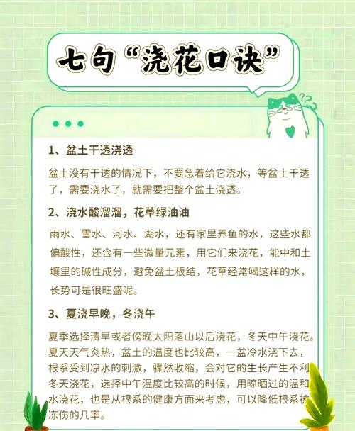 薰衣草夏天怎么浇水，薰衣草夏天怎么浇水施肥？