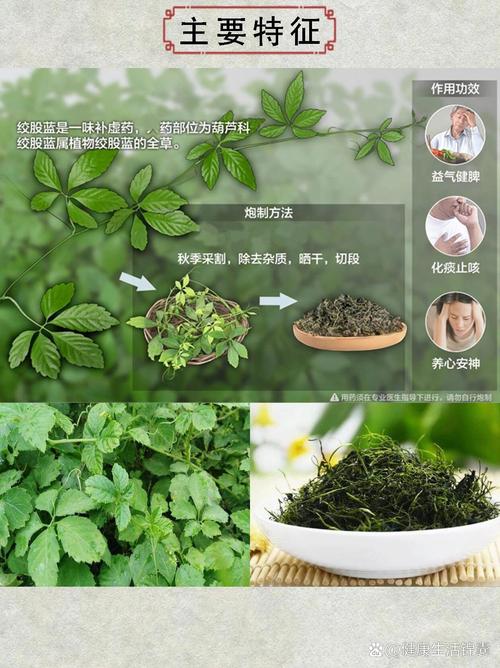 绞股蓝怎么繁殖，绞股蓝怎么繁殖种植-第6张图片-优品飞百科