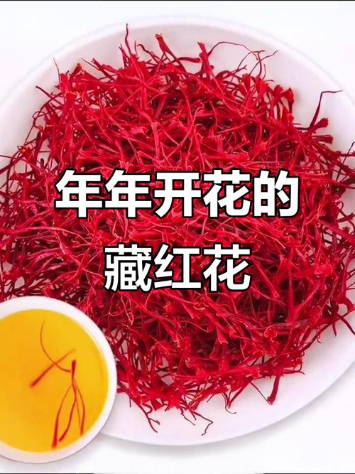 番红花种球种植方法？番红花的种球可以不挖出来吗？-第4张图片-优品飞百科