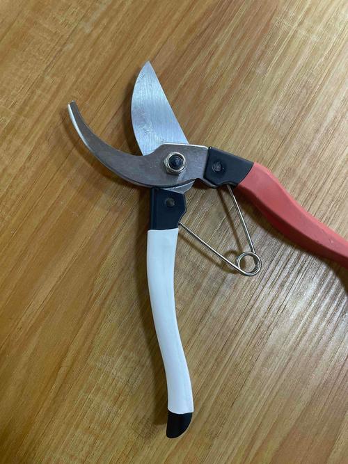 秋天给花的“根”剪两刀，大花天秋天如何剪枝-第3张图片-优品飞百科