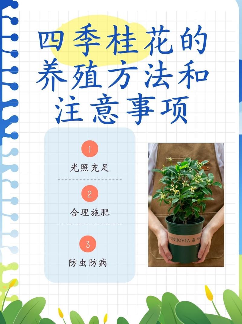 桂花树怎么养才长得好，桂花树怎么养才长得好视频？-第4张图片-优品飞百科