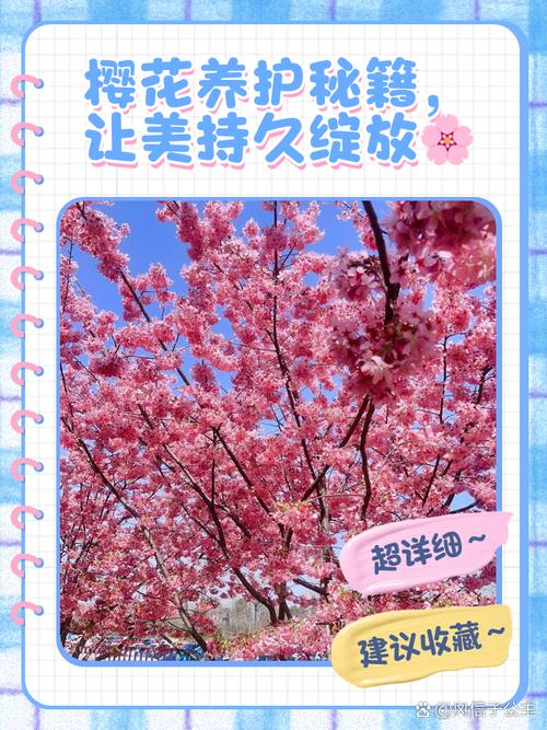 樱花的繁殖方法，樱花的繁殖方法?