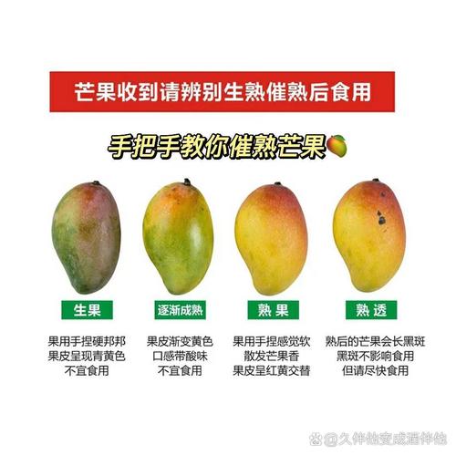 芒果怎么种植，芒果怎么种植方法-第5张图片-优品飞百科