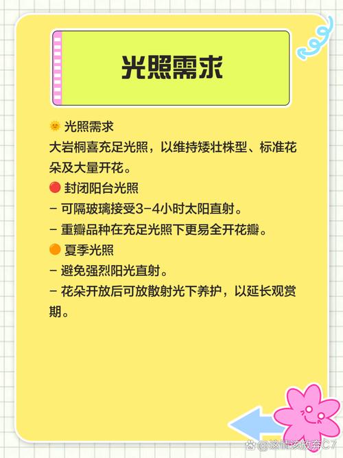 大岩桐如何换盆?大岩桐换盆的正确方法?-第2张图片-优品飞百科 大岩桐如何换盆?大岩桐换盆的正确方法?-第2张图片-优品飞百科