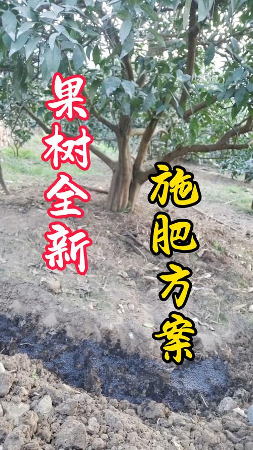 果树花期能浇水吗，果树花期可以浇水吗？-第2张图片-优品飞百科