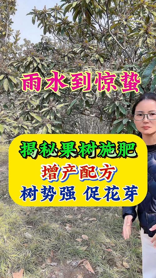 果树花期能浇水吗，果树花期可以浇水吗？-第3张图片-优品飞百科