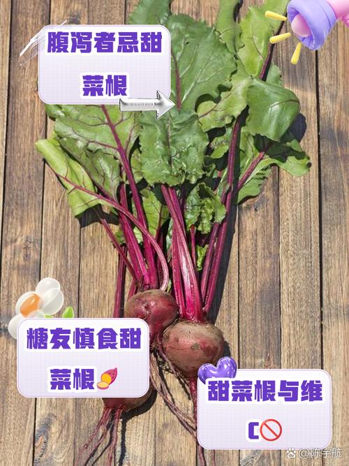 叶菾菜种子怎么种？叶菜类种植技巧？