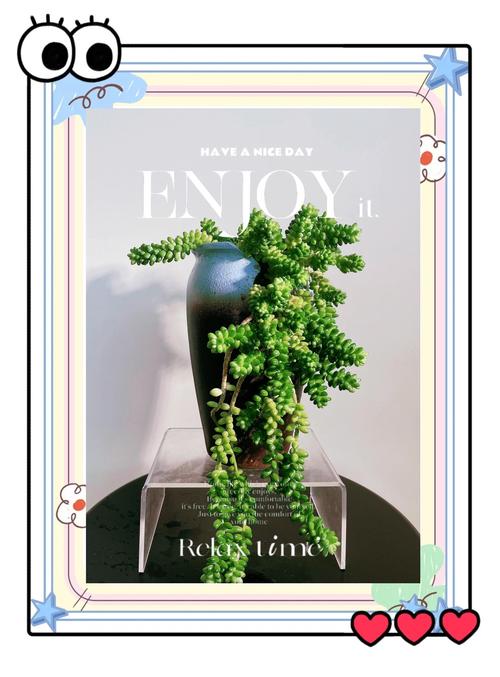 新玉缀怎么砍头?新玉缀怎么才能出状态?-第1张图片-优品飞百科 新玉缀怎么砍头?新玉缀怎么才能出状态?-第1张图片-优品飞百科