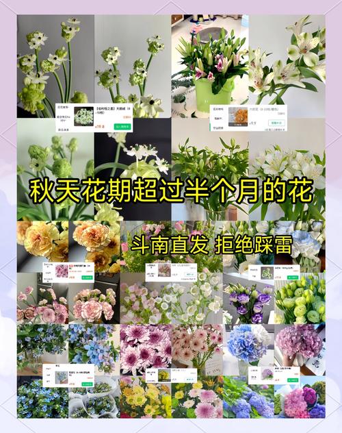 秋天浇花用这3种“水”，秋季养花怎样浇水？