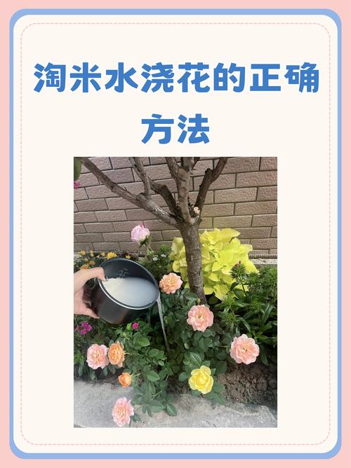 秋天浇花用这3种“水”，秋季养花怎样浇水？-第2张图片-优品飞百科