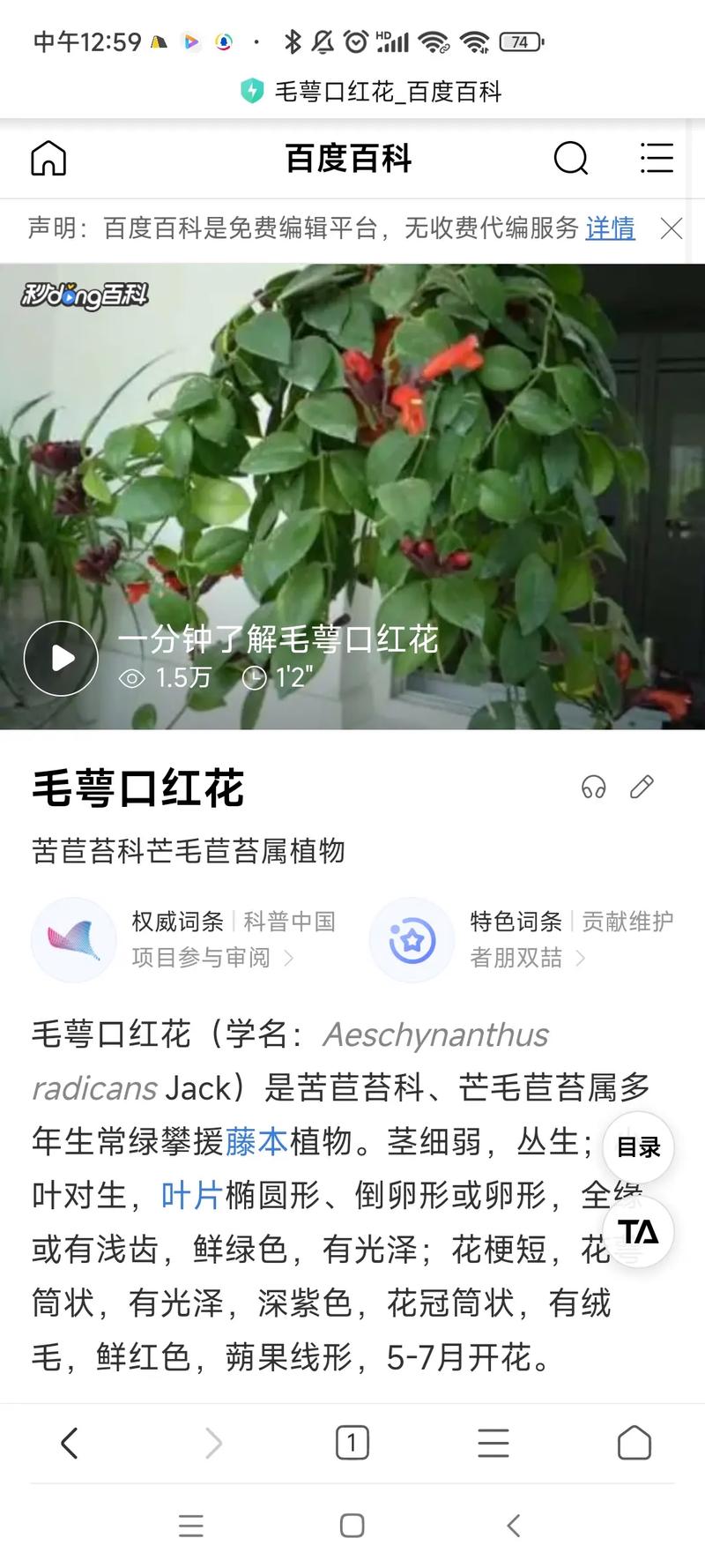 新买的口红花怎么养，新买的口红花怎么养才能开花？