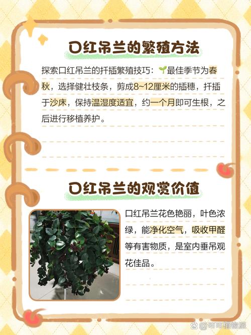 新买的口红花怎么养，新买的口红花怎么养才能开花？-第4张图片-优品飞百科