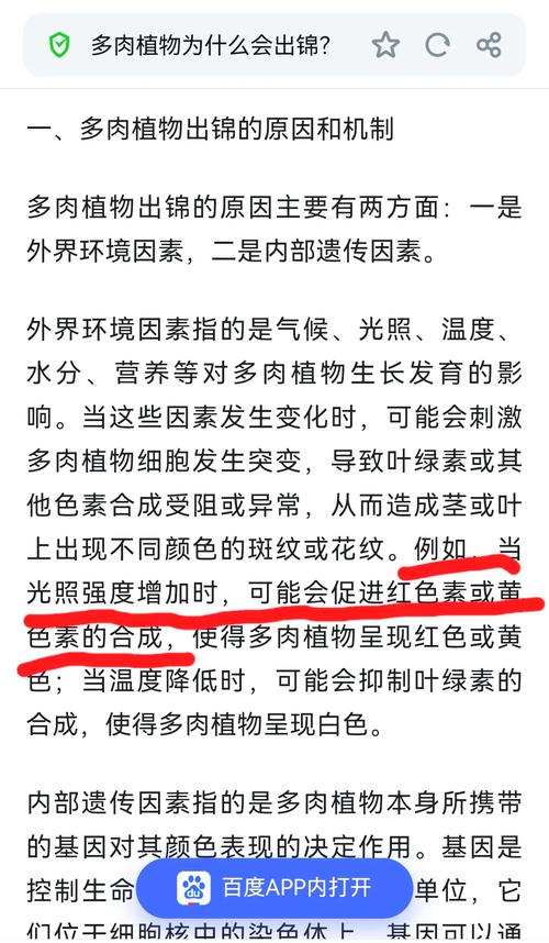 怎么让多肉出锦，多肉怎么容易出锦-第4张图片-优品飞百科