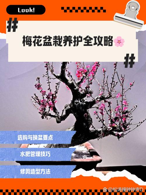 榆叶梅春天怎么养,榆叶梅好活吗?-第2张图片-优品飞百科 榆叶梅春天怎么养,榆叶梅好活吗?-第2张图片-优品飞百科