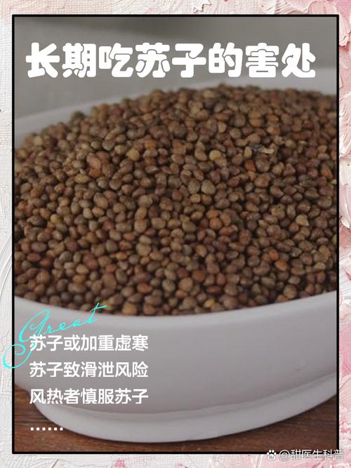 苏子几月份种，苏子什么时间种,什么时间熟？-第4张图片-优品飞百科